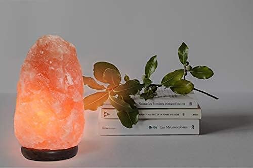Himalayan salt lamp on a surface with books and a plant in the background